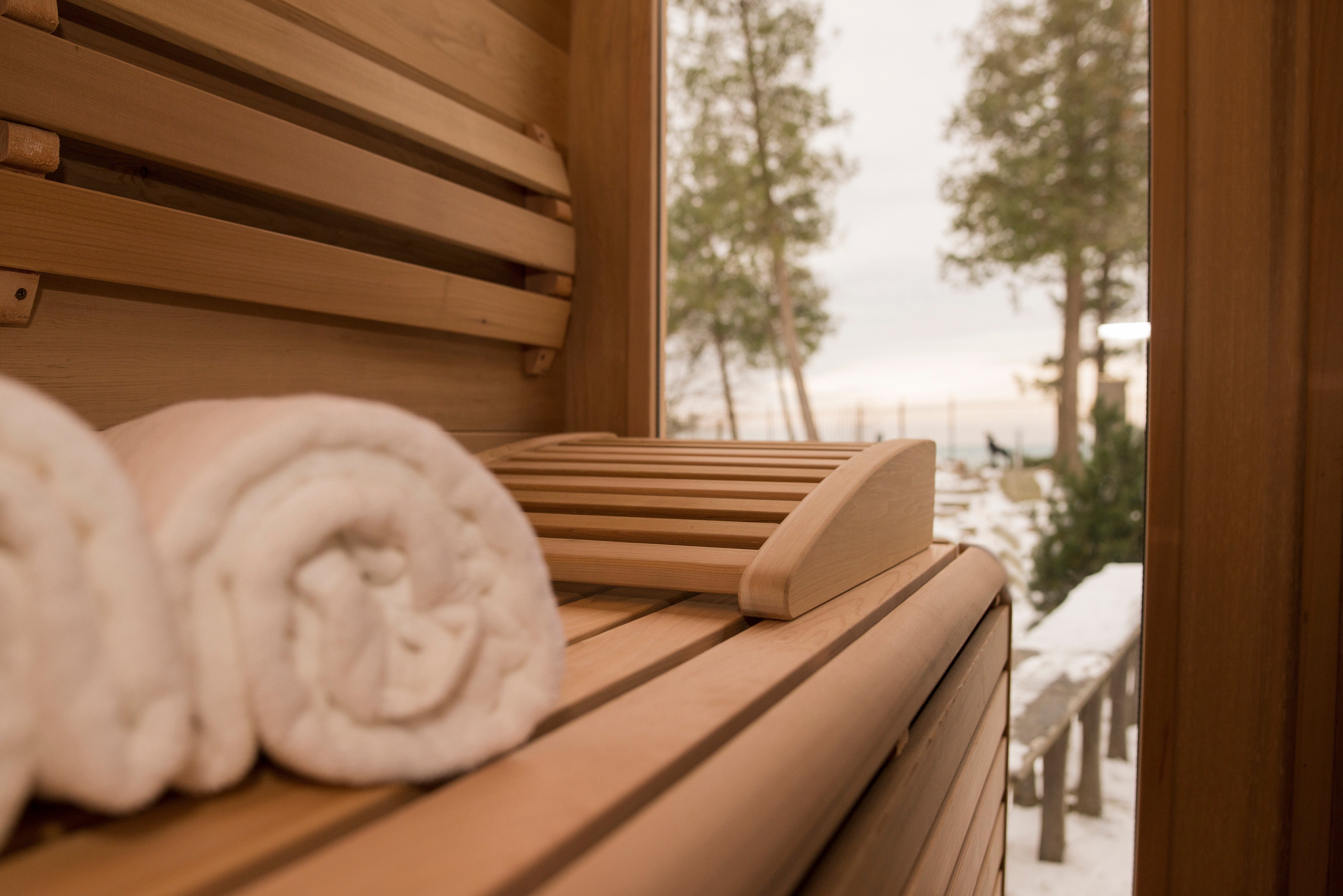 LUNA Amazon.com: Zoomax Luna 8 Handheld Video Magnifier - Portable HD